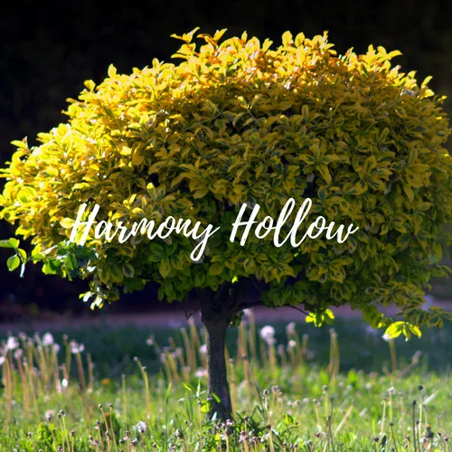 Harmony Hollow Season 3 tag banner