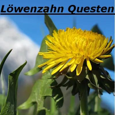 Löwenzahn tag banner