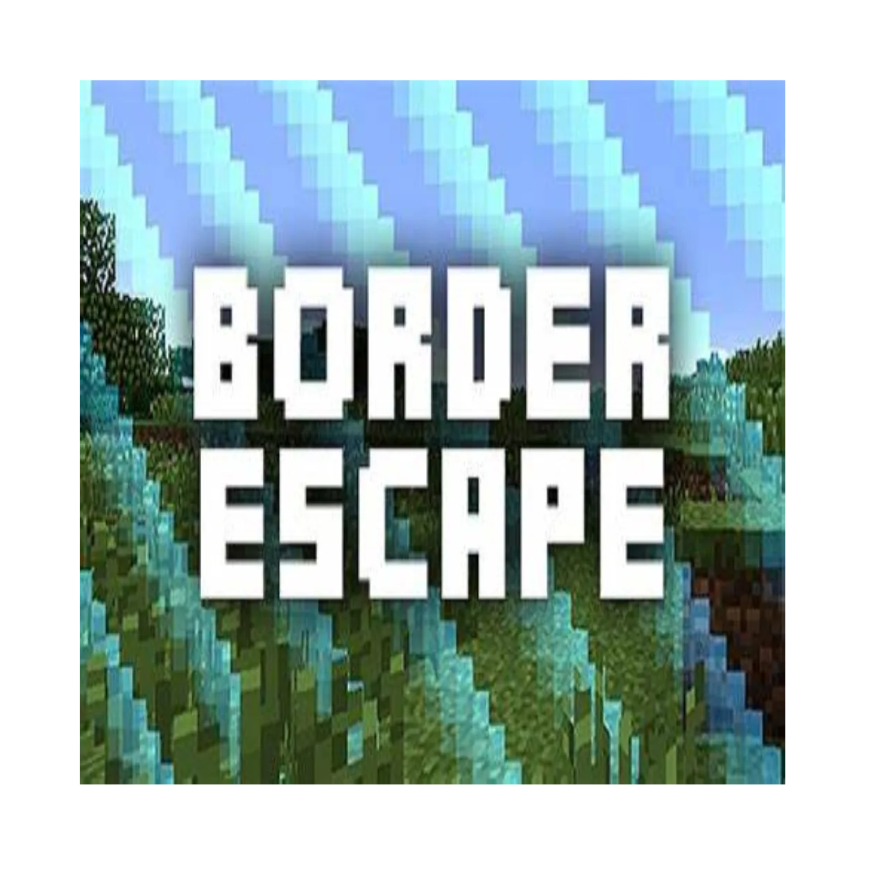 Level Border tag banner
