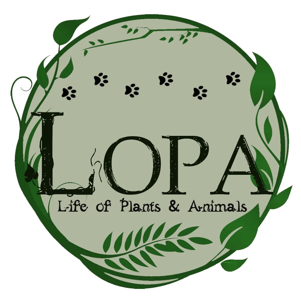 LOPA - Life of Plants and Animals FABRIC tag banner
