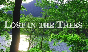 Lost in the Trees tag banner