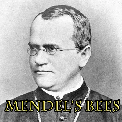 Mendel's Bees tag banner