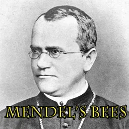 Mendel's Bees tag icon